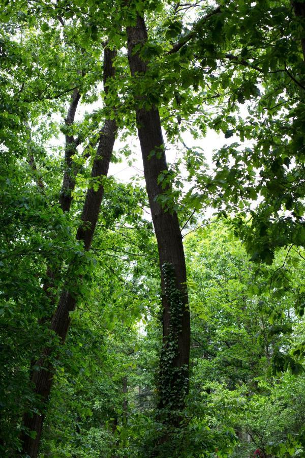 Buitenplaats Petersburg Arnhem Ngoại thất bức ảnh